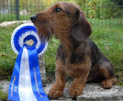 Landesjugendsieger 2015 im BDK