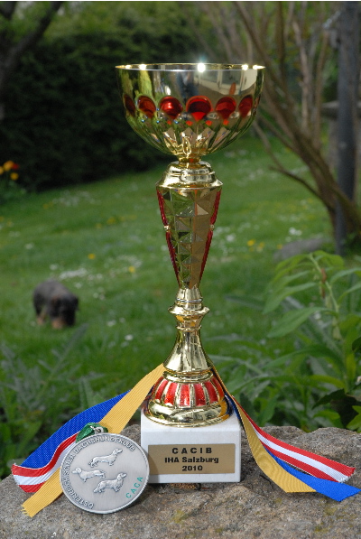 aktuell77