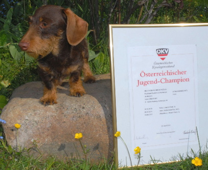 Österreichischer Jugend-Champion