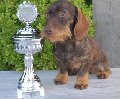 Nationale Hundeausstellung Leipzig 2011