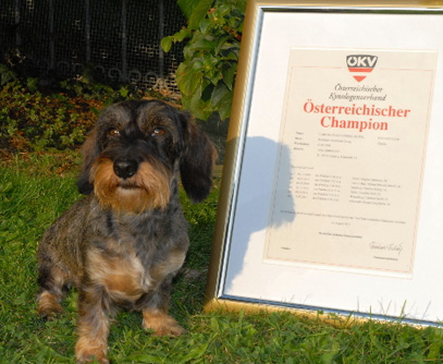 Österreichischer Champion 2011