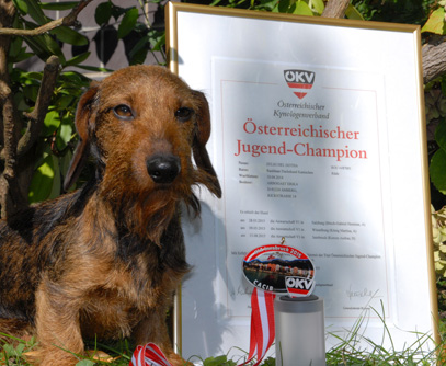 Österreichischer Jugend-Champion